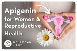 Apigenin for Women and Reproductive Health graphic with uterus illustration and chamomile flower.