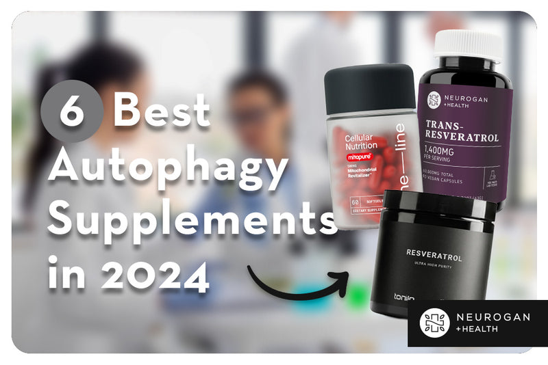 6 Best Autophagy Supplements in 2024