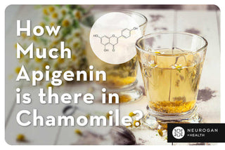 How Much Apigenin in Chamomile? A visual guide featuring chamomile tea and its flavonoid content.