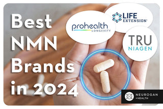 A hand holding NMN capsules. Text: Best NMN Brands in 2024