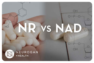 White NR capsules in a hand. Text: NR vs. NAD