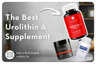 The best Urolithin A supplements featuring Neurogan, Spermidine+, and Pure RenuA options.