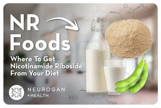 Milk and Soy beans as sources for Nicotinamide riboside. Text: NR Foods: Where to get NR From your Diet