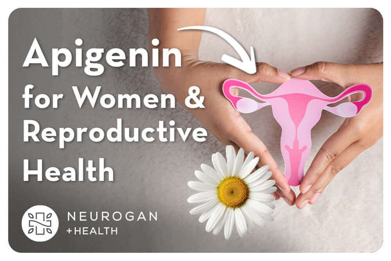 Apigenin for Women and Reproductive Health