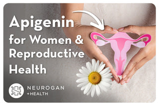 Diagram of a woman's reproductive system. text: Apigenin for women & reproductive health