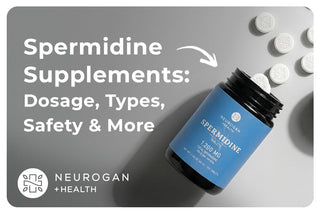 Promotional graphic for spermidine supplements showing a Neurogan Health bottle with tablets, alongside text reading “Spermidine Supplements: Dosage, Types, Safety & More.”