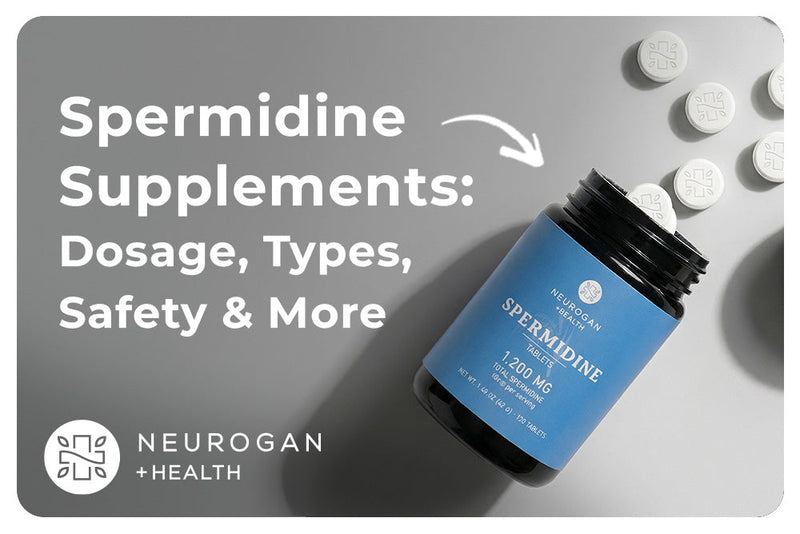 Spermidine Supplements: Dosage, Types, Safety, and How to Choose the Right One for Healthy Aging