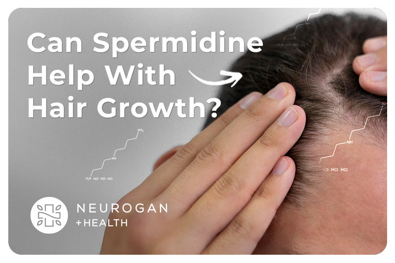 Can Spermidine Help With Hair Growth? What Science Says