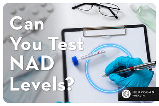 Can You Test NAD Levels?