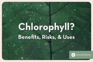 Close-up of green leaf texture, discussing chlorophyll benefits and risks