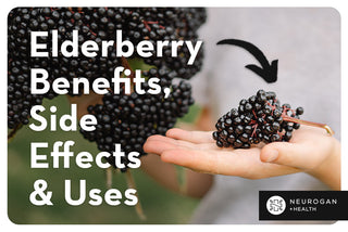 Handheld freshly plucked elderberries