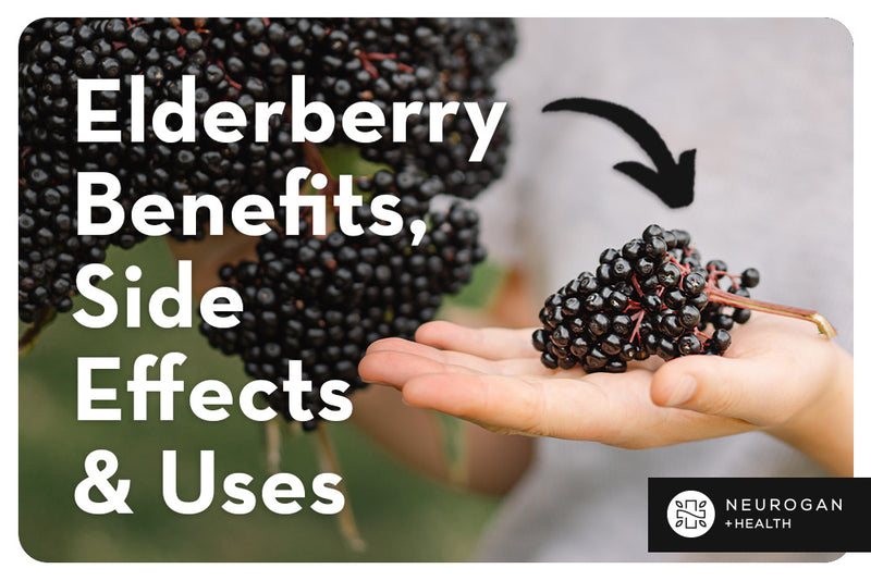 Elderberry Benefits, Side Effects & Uses