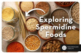Different bowls of grains. Text: Exploring Spermidine Foods