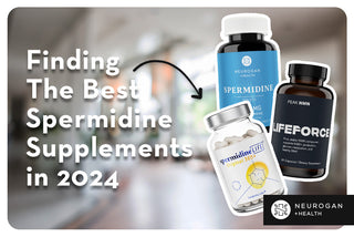Comparing popular spermidine supplements. Text: Finding the best spermidine supplements in 2024