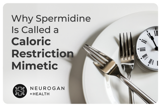 Graphic with the text “Why Spermidine Is Called a Caloric Restriction Mimetic” beside a white plate with forks and a clock, featuring the Neurogan +Health logo.