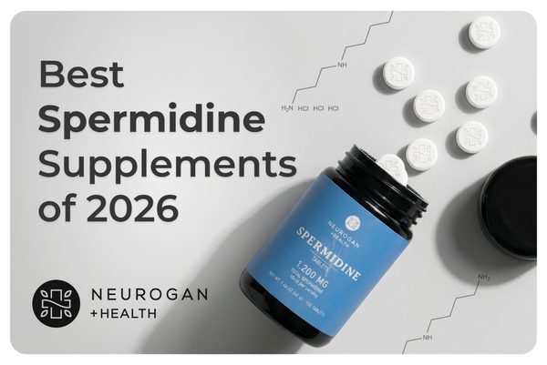 Neurogan Health Spermidine tablet bottle with scattered tablets, titled 'Best Spermidine Supplements of 2026.