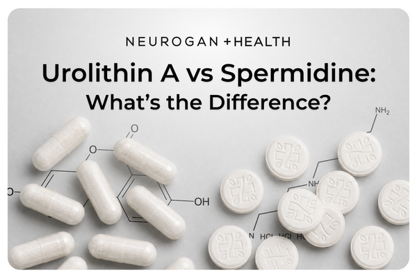 Neurogan Health blog banner titled 'Urolithin A vs Spermidine: What's the Difference?' featuring white capsules scattered on the left and white tablets on the right, overlaid with a chemical structure diagram, on a light gray background.