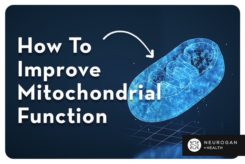 How To Improve Mitochondrial Function