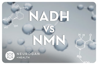 NADH vs NMN molecules