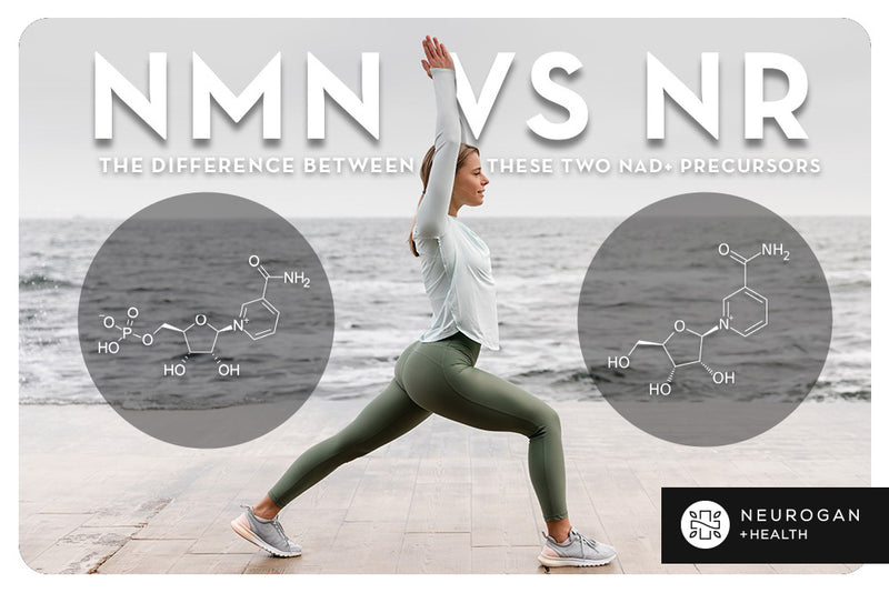 NMN Vs. NR: What's The Difference Between These Two NAD+ Precursors