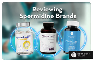 Spermidine Life Vs. Primeadine vs. Neurogan Spermidine. Text: Reviewing Spermidine Brands