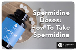 Neurogan Health Spermidine Tablets. Text: Spermidine Doses: How To Take Spermidine