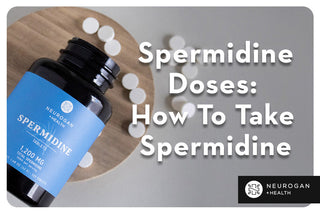 Neurogan Health Spermidine Tablets. Text: Spermidine Doses: How To Take Spermidine