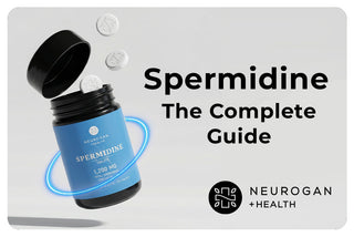 Spermidine: The Complete Guide to Benefits, Foods, Supplements, and the Science of Longevity
