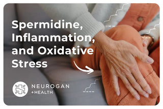 Close-up of an older adult’s hands resting on their knee with text “Spermidine, Inflammation, and Oxidative Stress” and Neurogan + Health logo.