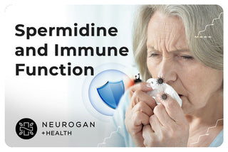 Elderly woman holding a tissue and sneezing, with text “Spermidine and Immune Function” and a health brand logo.