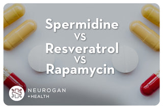 Graphic comparing spermidine, resveratrol, and rapamycin, with pills and Neurogan Health branding.