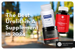 Comparing the best Urolithin A supplements in 2024