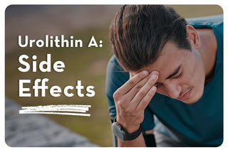 Urolithin A Side Effects