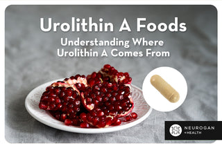 Pomegranate and Urolithin A Foods 