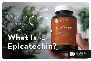 Holding neurogan epicatechin supplements. Text: What is epicatechin?