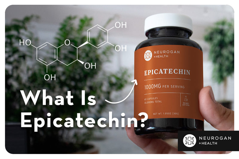 What Is Epicatechin?