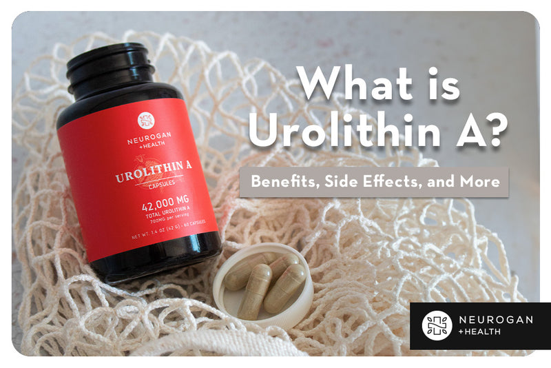 What is Urolithin A? Benefits, Side Effects, and More