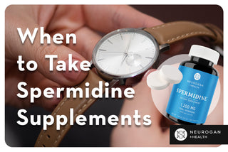 Looking at a wrist watch. Text: When to take spermidine supplements