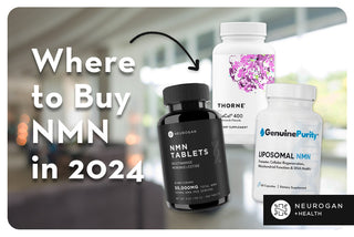 comparing popular nmn supplements. text: where to buy nmn in 2024