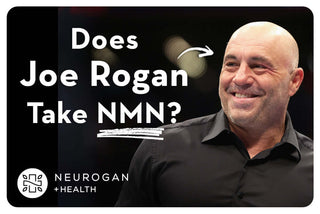 Does Joe Rogan Take NMN?