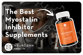 Man working out at the gym. Text: Best myostatin inhibitor supplements