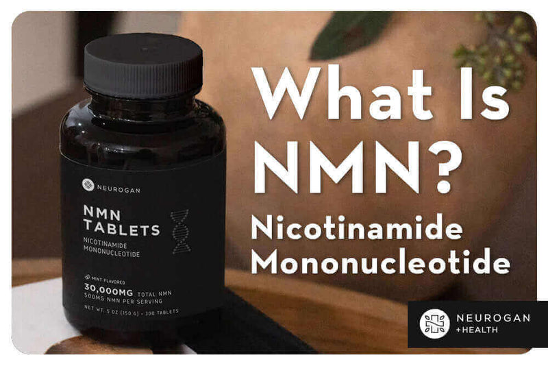 What Is NMN? Nicotinamide Mononucleotide Explained