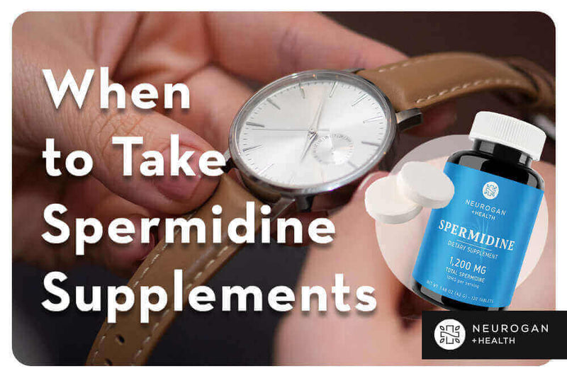 Best Time to Take Spermidine: Morning, Night, or With Food?