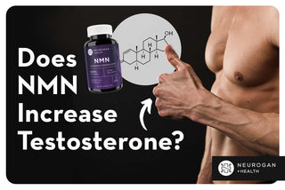 A muscled body next to NMN supplements. Text: Does NMN increase testosterone? 