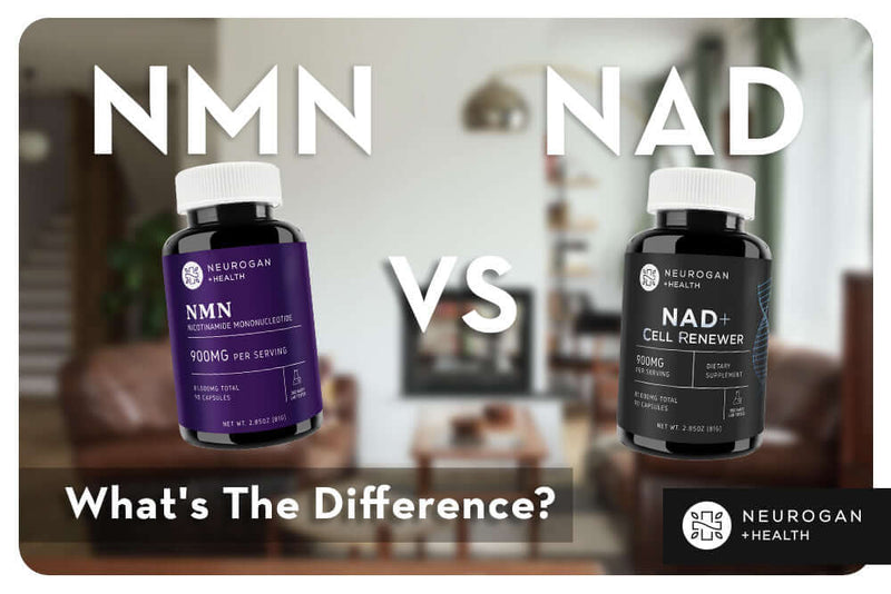 NMN Vs. NAD: What's The Difference?