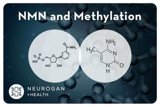 Illustration of NMN and methylation with molecular structures on a dark background.