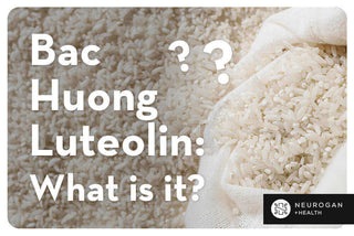 Premium Bac Huong rice variety from Northern Vietnam with a soft texture and aromatic qualities.