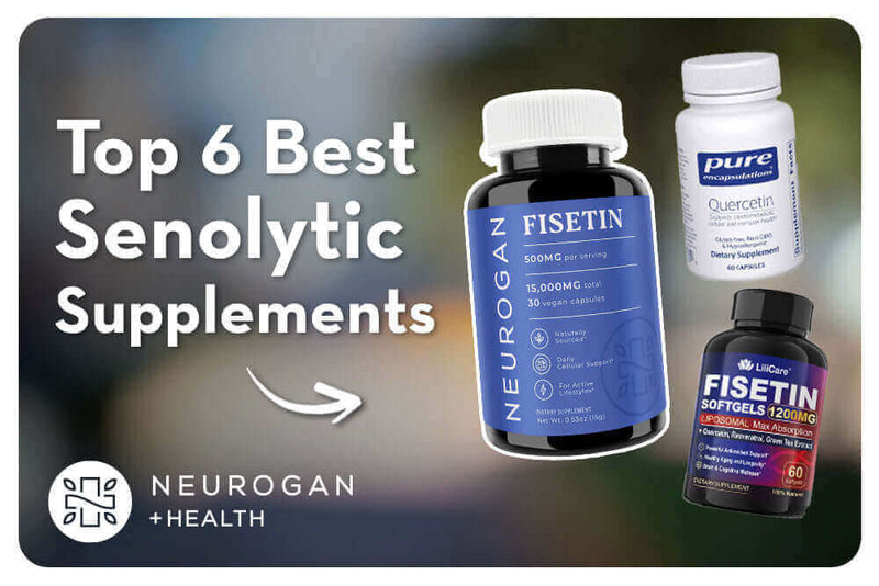 Top 6 Best Senolytic Supplements