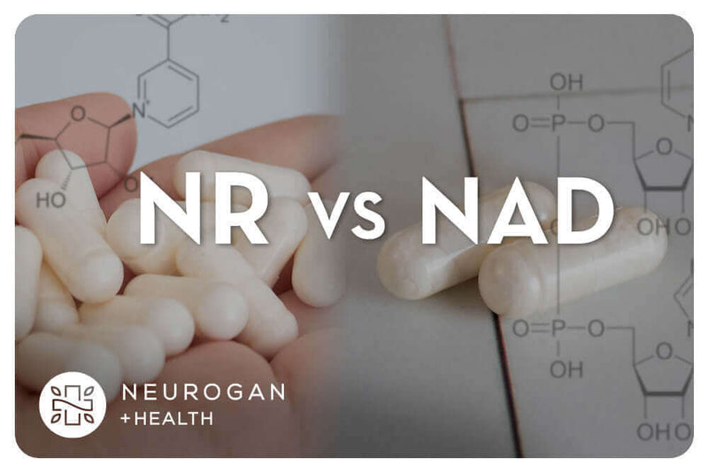 Nicotinamide Riboside vs. NAD