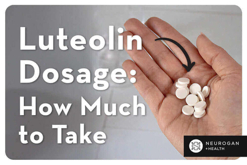 Luteolin Dosage | How Much to Take